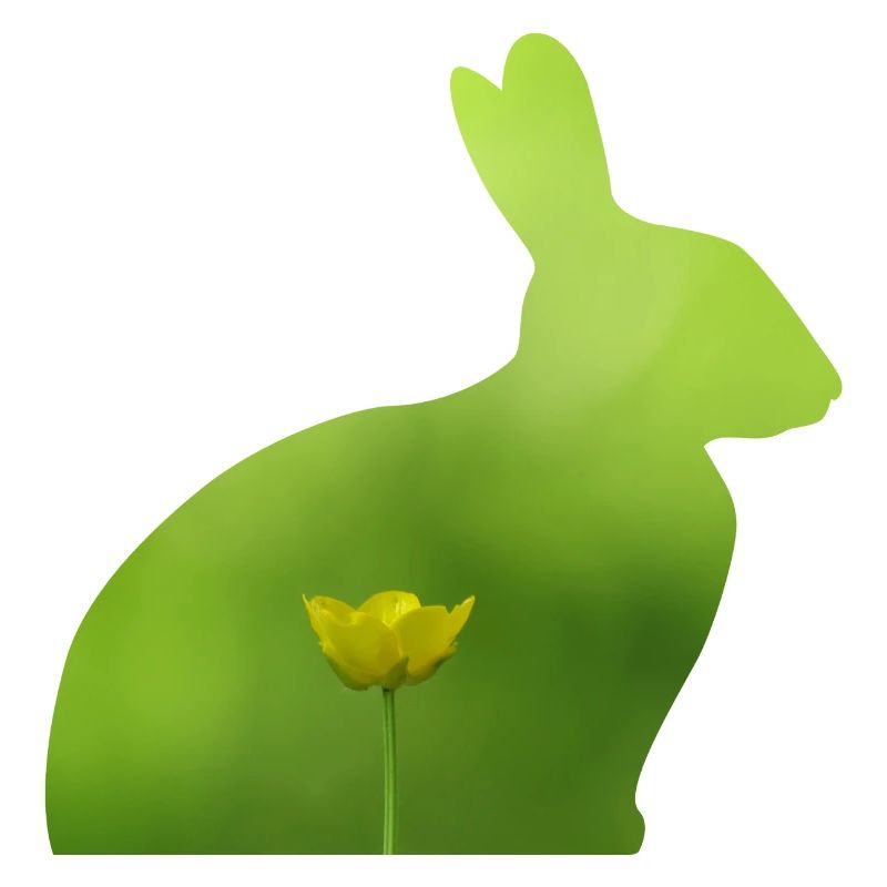 Hare