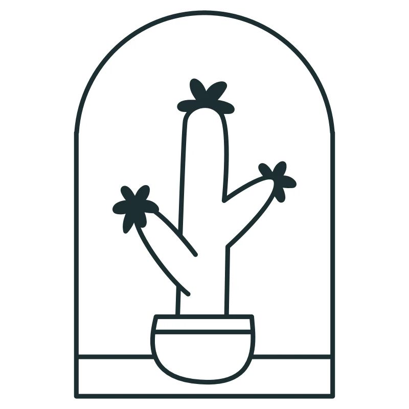 Cactus mignon dans un pot debout