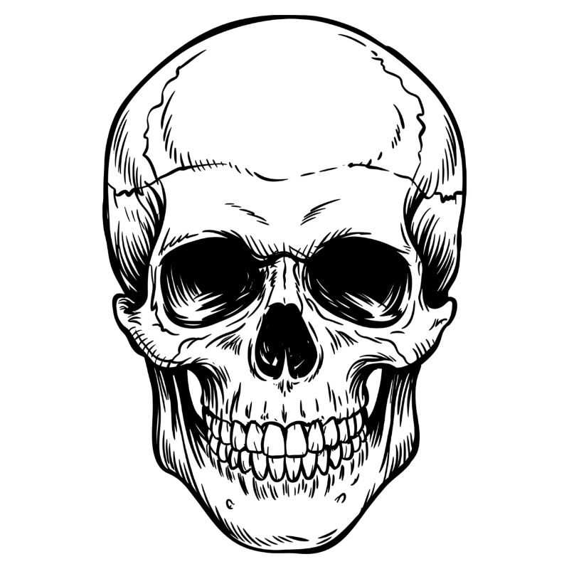 Skull