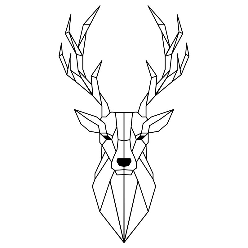 Polygone de cerf