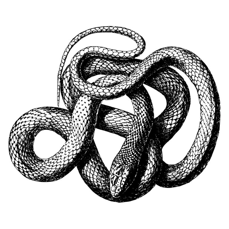 serpent