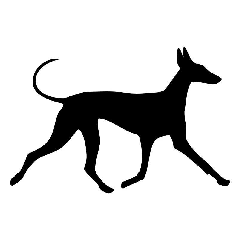Basset Hound