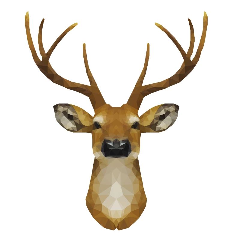polygone de cerf