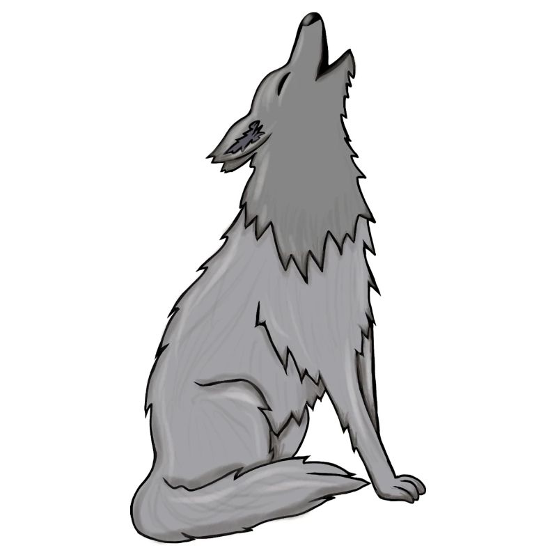 Wolf