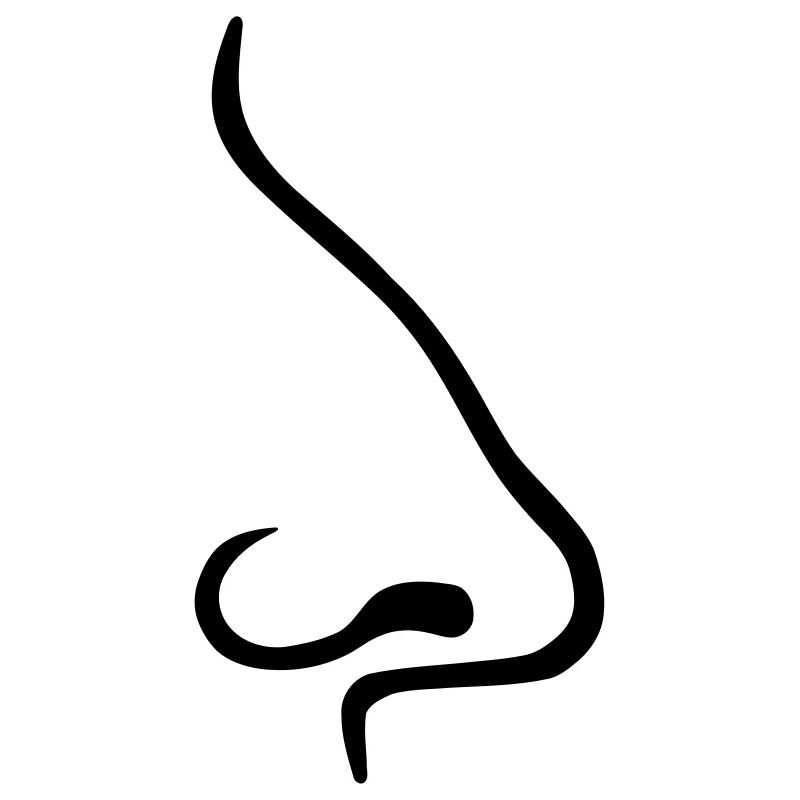Nose