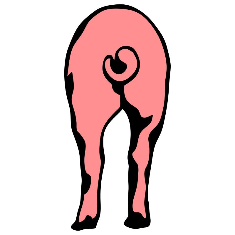 cul cochon pig ass 8