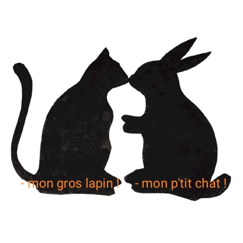 Chat et lapin amis, relation romantique
