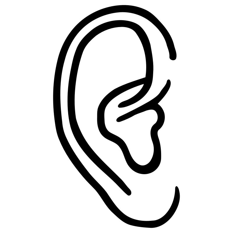 Ear