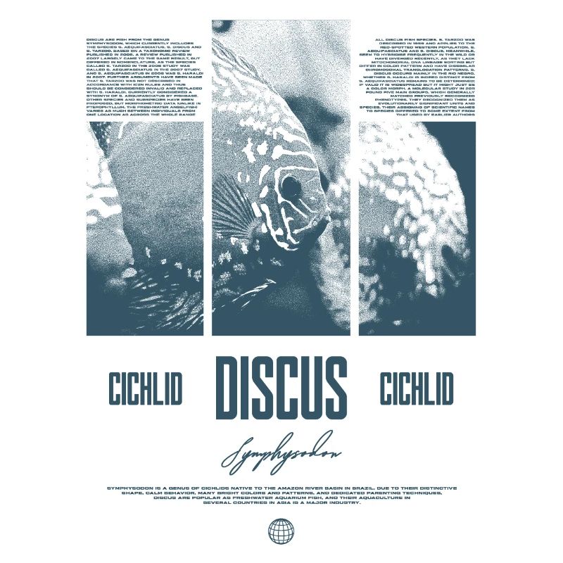 Discus Cichlidé Aquarium Fish Keeper
