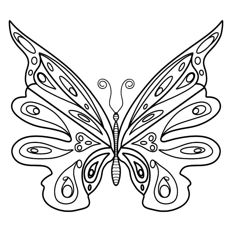 Icône de silhouette de papillon noir isolée.