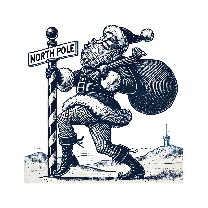 Funny Christmas pole dance Santa