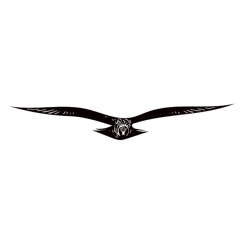 Elegant flying eagle