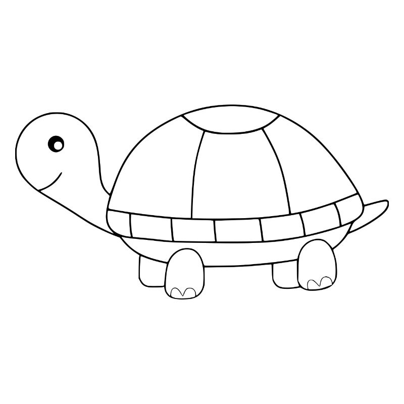 Turtle Turtles