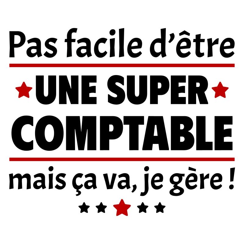 Pas facile d'être une super comptable, cadeau noël
