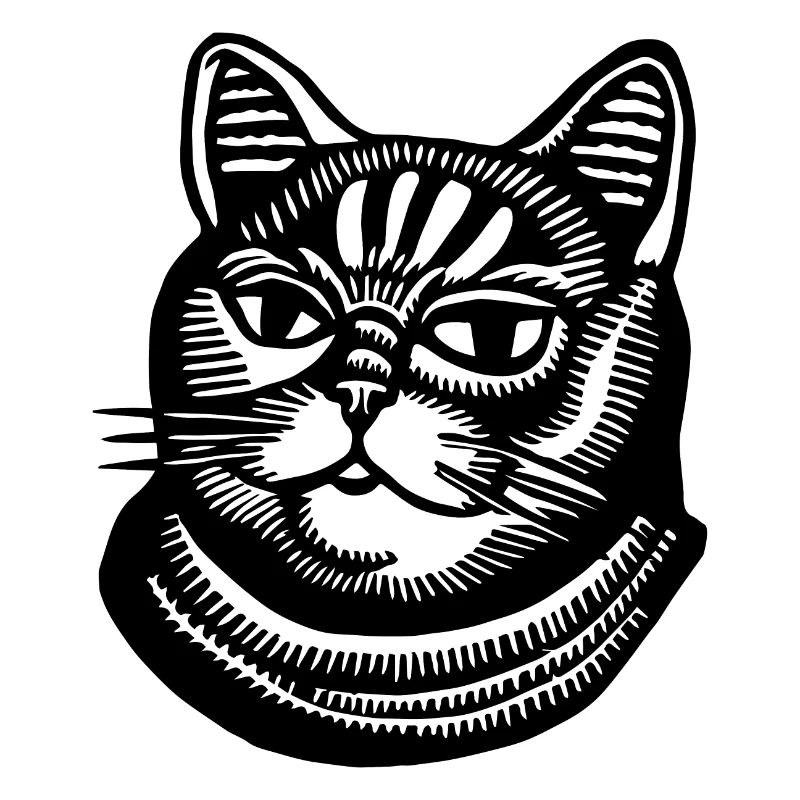 Chat Chats Visage de chat