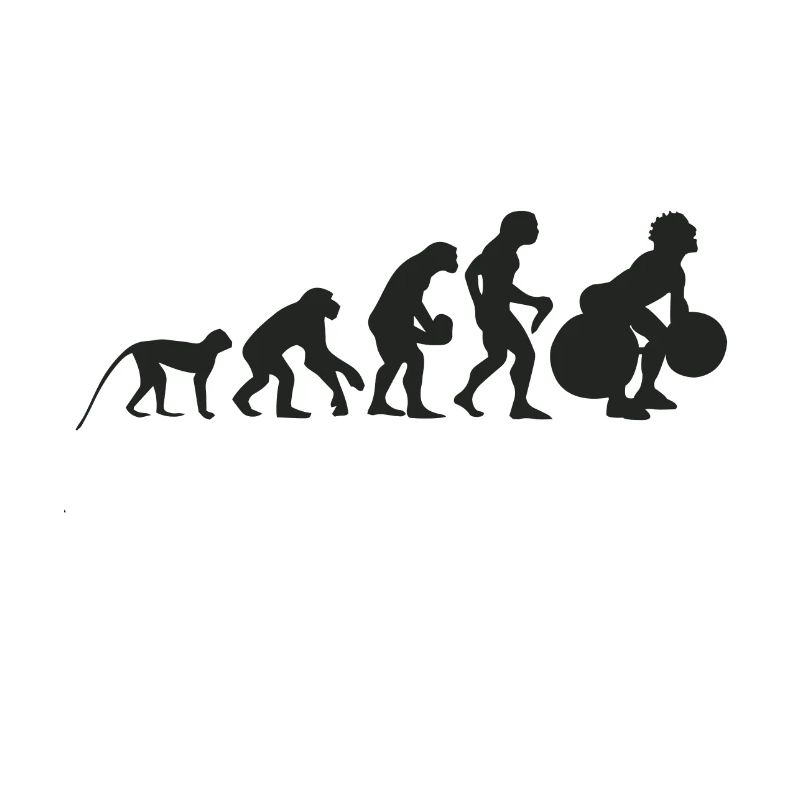 Évolution du poids et haltères