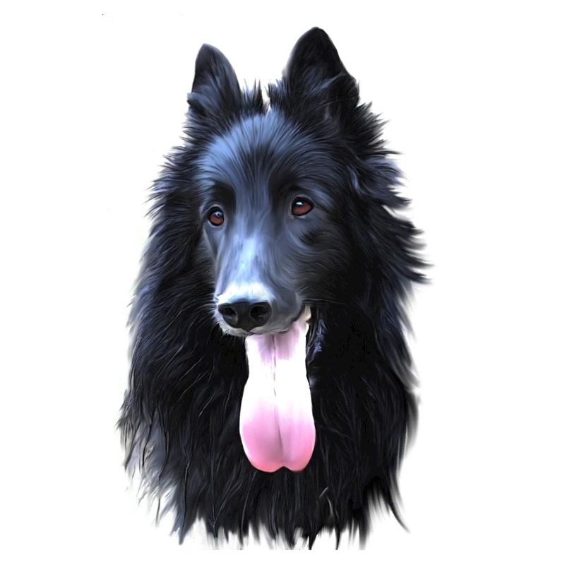 Belgian groendal