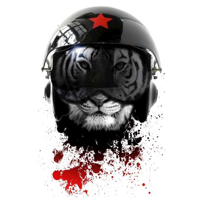 russian pilot by v6 dk