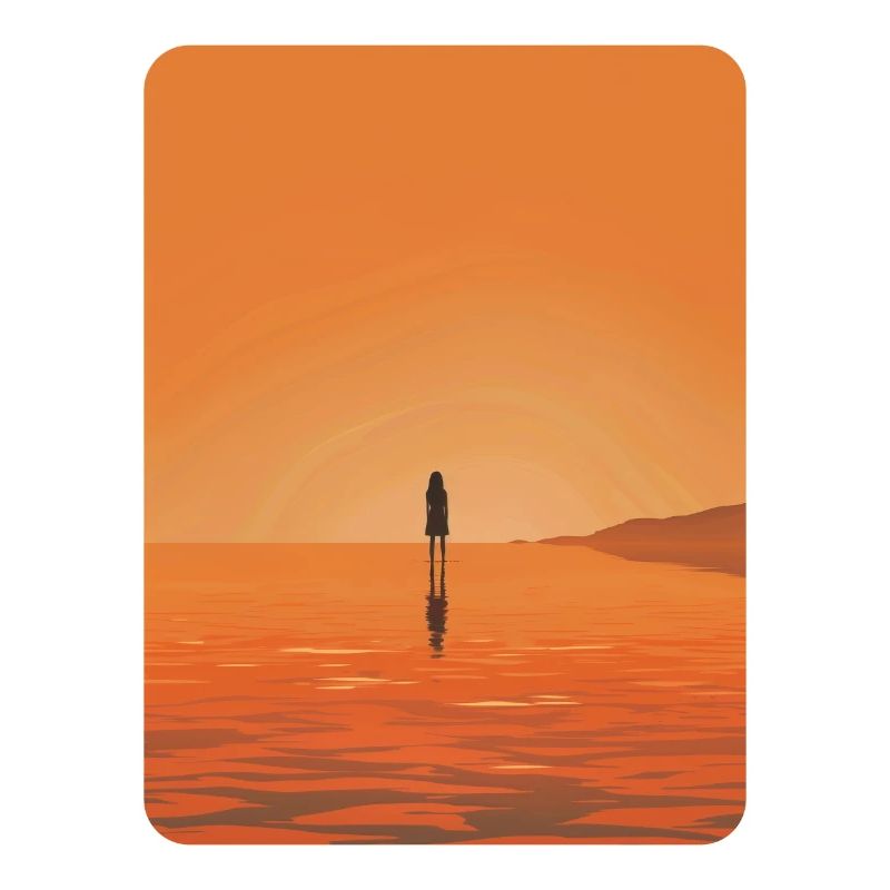 silhouette de coucher de soleil