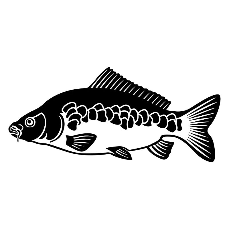 Carp (Carp)