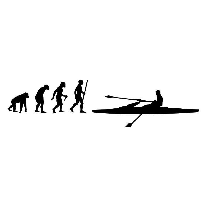 Évolution de l'aviron