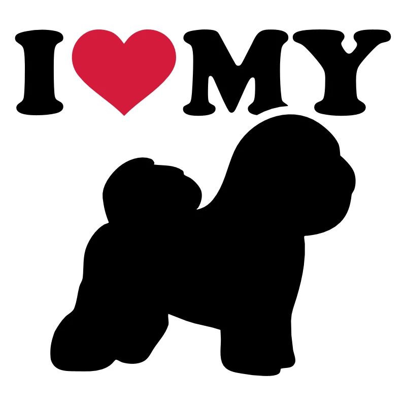 Bichon Frise