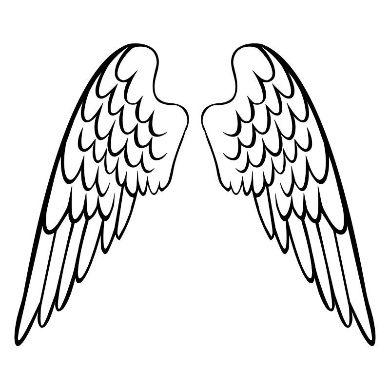 Ailes d'ange