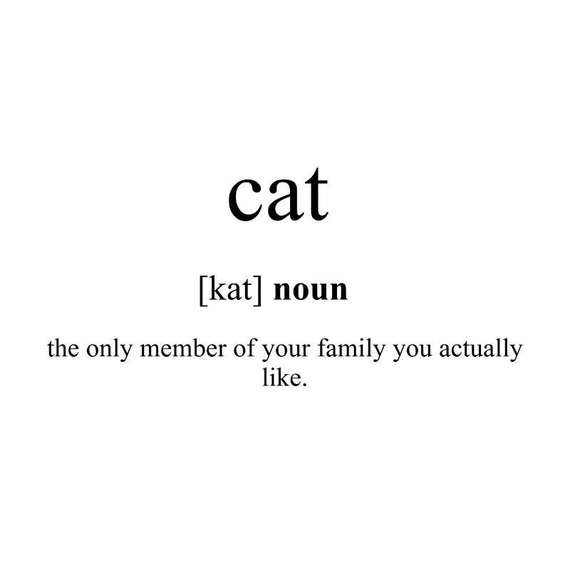Dictionnaire de définition du chat (Katze)