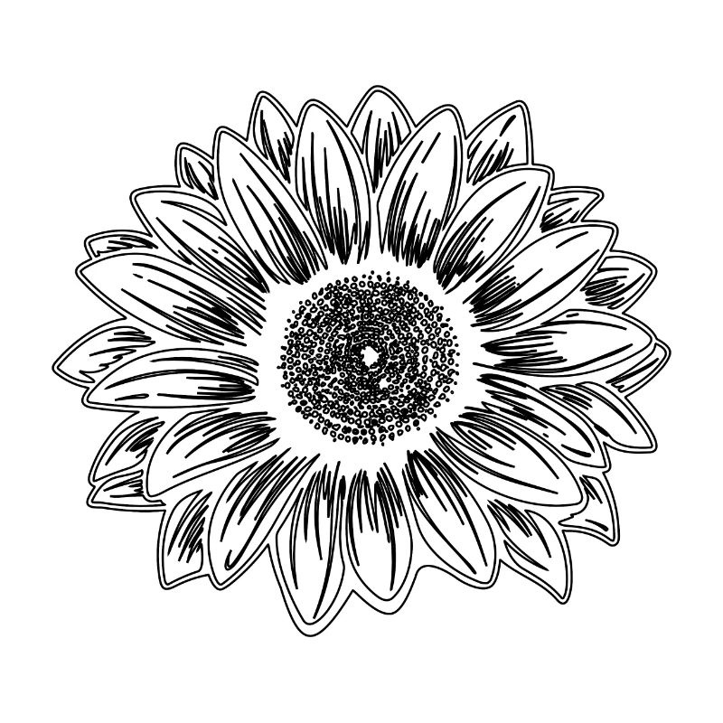 Conception de tournesol