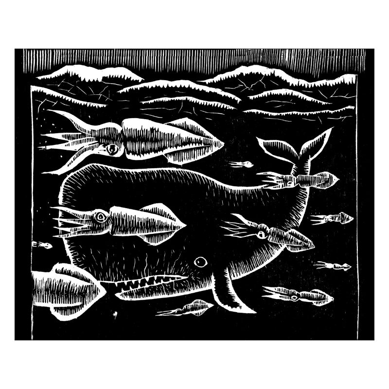 Squid-Pim