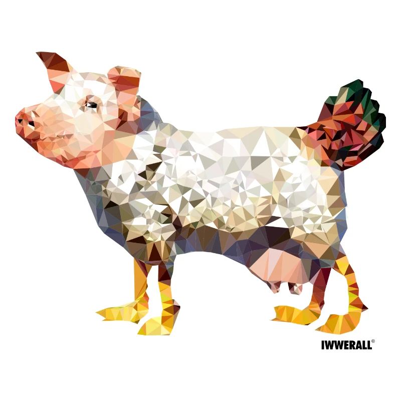 Egg-laying wool milk sow