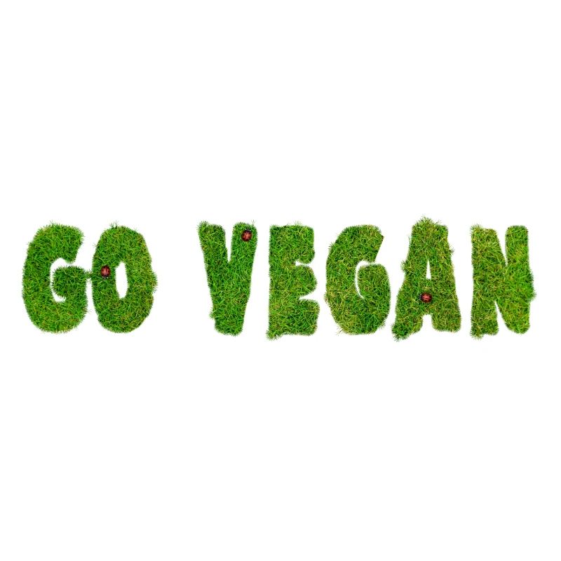 Go Vegan - Statement
