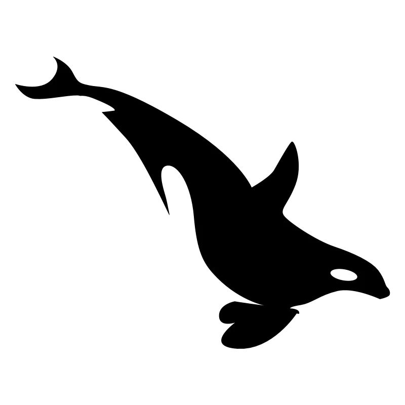 Plongée aux baleines orques