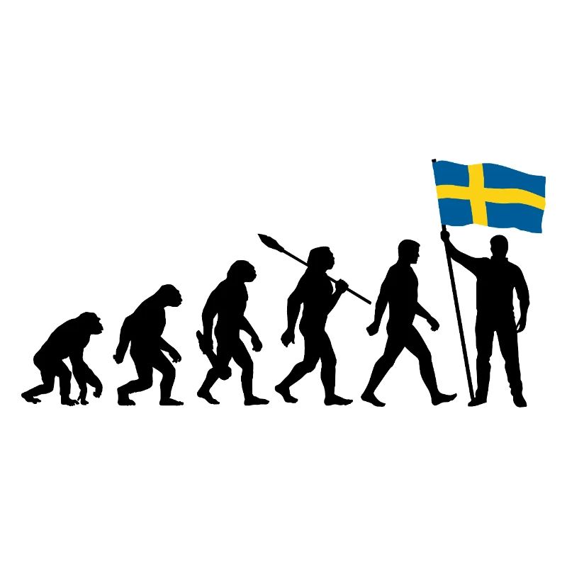 Suède - Evolution - Drapeau - Nation