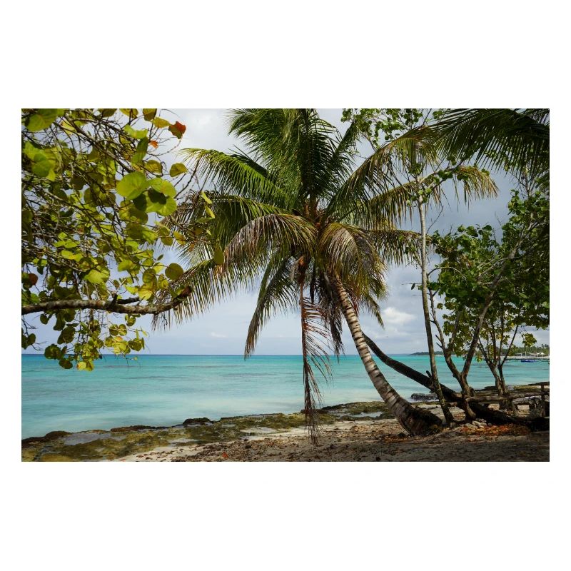 Palm trees and white sand, this is how holiday feeling is created