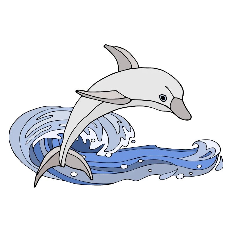 Dolphin
