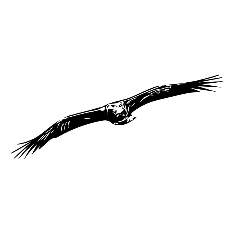 Aigle