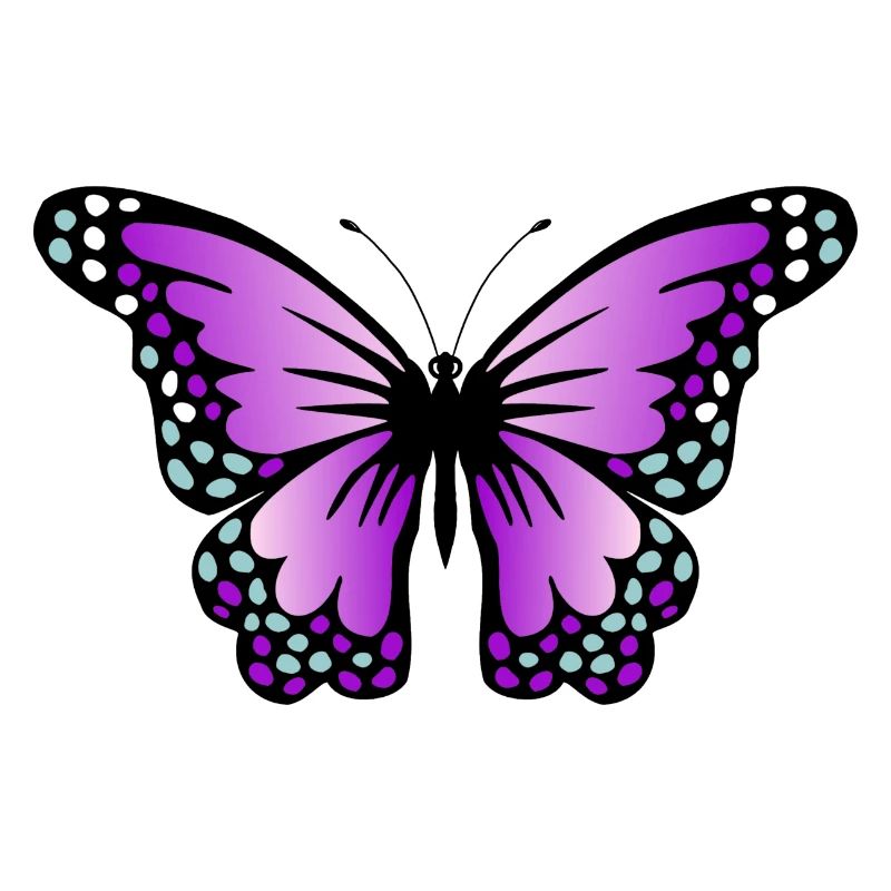 papillon