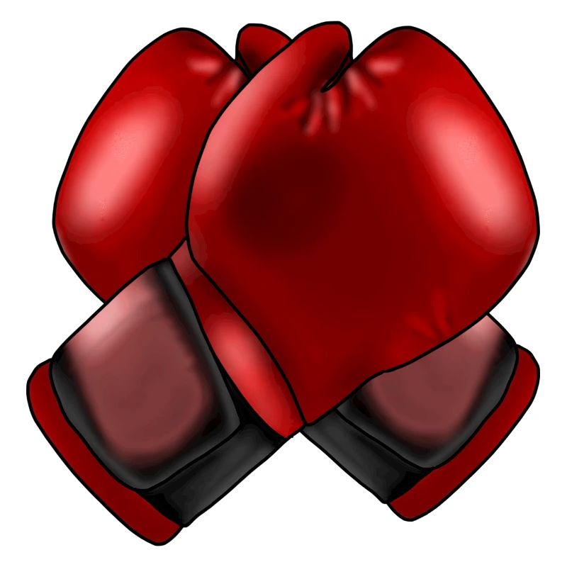Gants de boxe 4