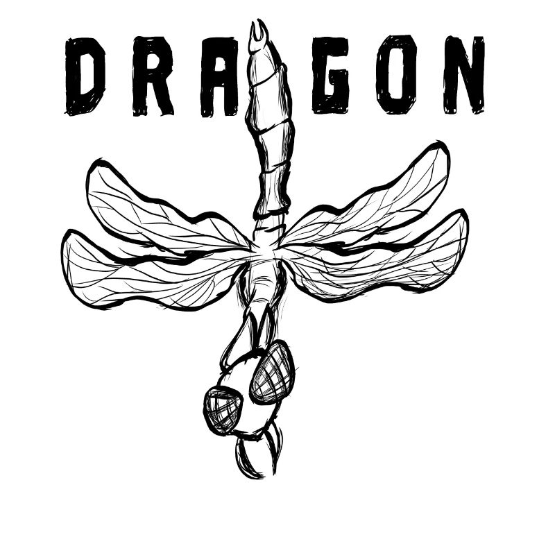 Insecte libellule avec inscription de dragon