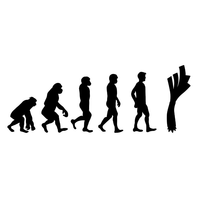 Leek evolution