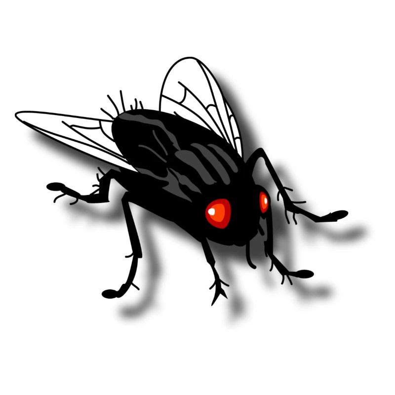 funny fly