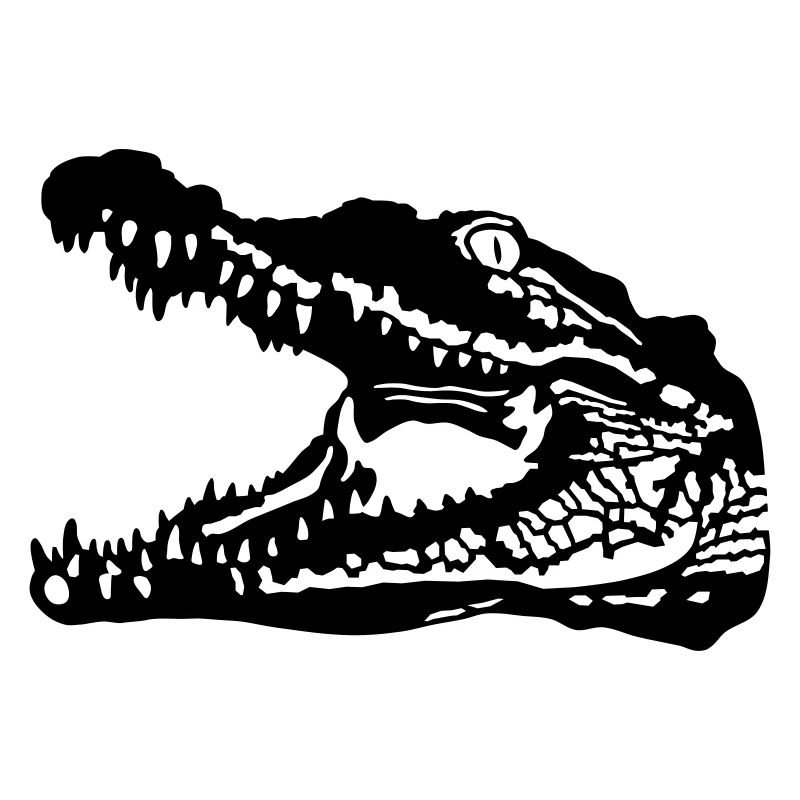 Crocodile