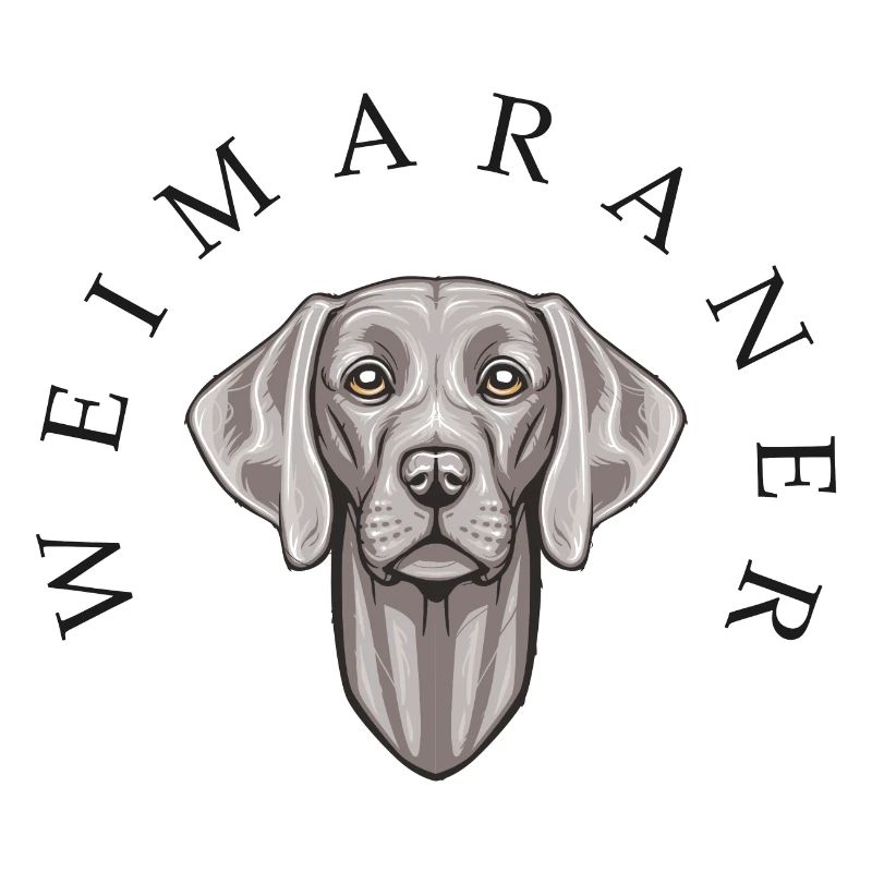 Weimaraner