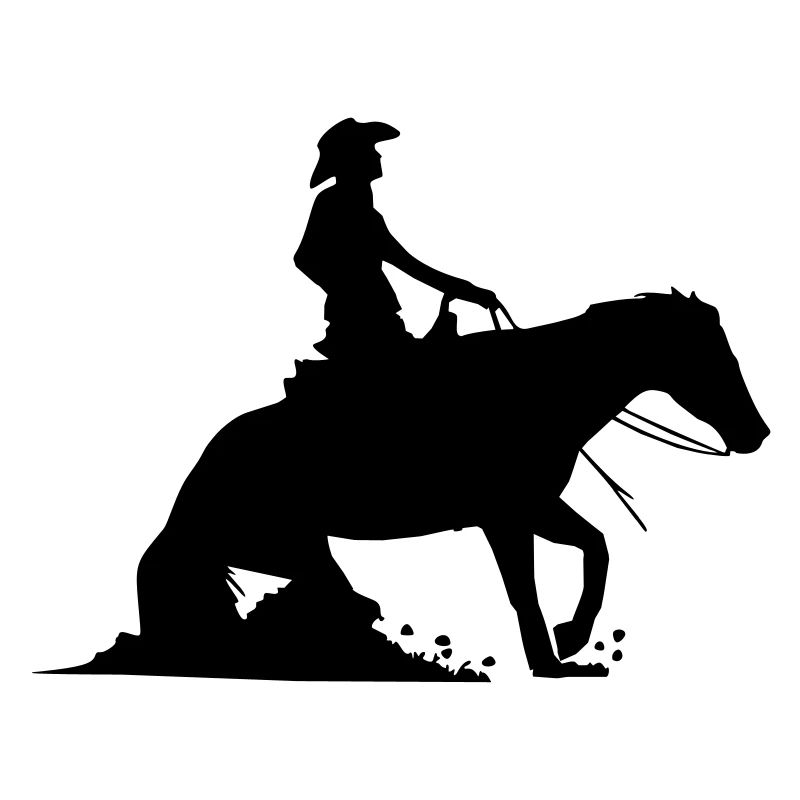 Equestrian Western Riding - Reining