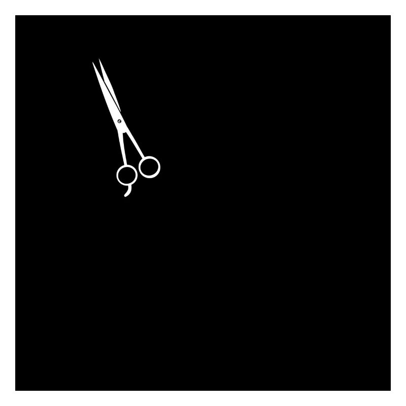 Barber scissors