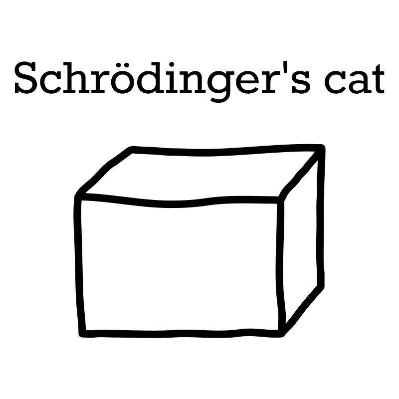 Le chat de Schrödinger – Drôle de nerd de physique quantique