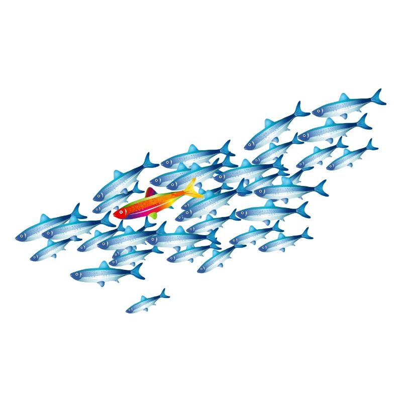 le poisson coloré dans l’essaim de poisson