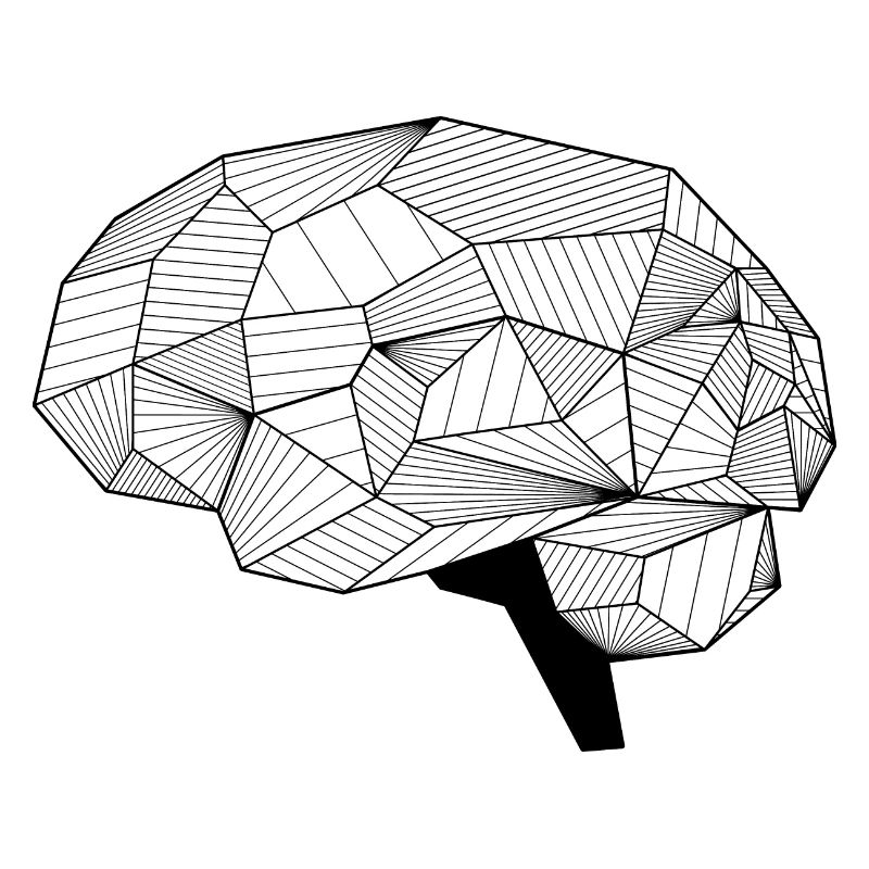 Brain