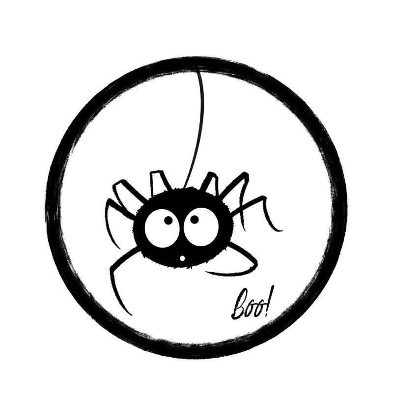 Araignée mignonne